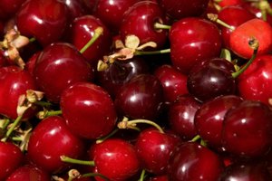 ¿Cuántas calorías hay en un puñado de cerezas frescas?