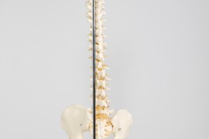 Ejercicios para la espalda después de una fractura de compresión T12