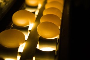 La cantidad de lecitina en los huevos