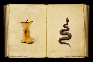 novel notes take serpent snake bible meaning symbol christian