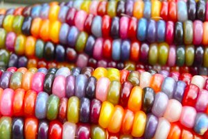 Can You Believe This Crazy Rainbow Corn Is Natural? | Our Everyday Life