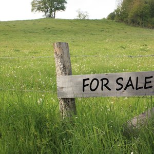 Does Purchasing Land for Cash Affect the Owner's Equity in Accounting?
