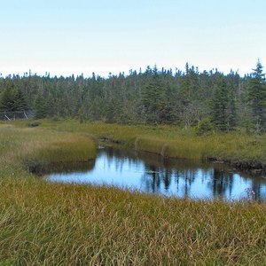 The Farmable Wetlands Program provides financial incentive to restore recovered wetlands.