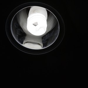 Economic Impact of Fluorescent Light Bulbs