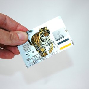 Credit Cards That Benefit Animals