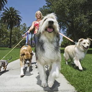 Tax Deductions for Pet Sitting