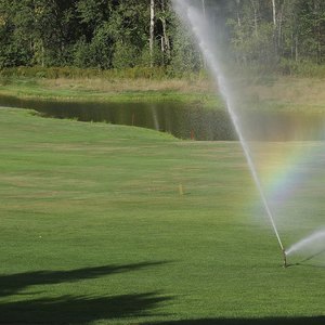 Does a Sprinkler System Add to the Value of a Home?