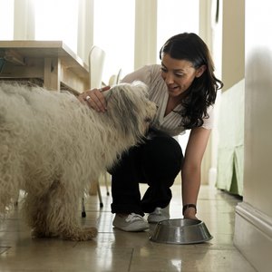 Woman feeding dog