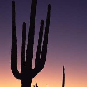 Does Arizona Tax Federal Retirements?