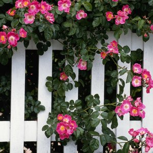 The Importance of Curb Appeal