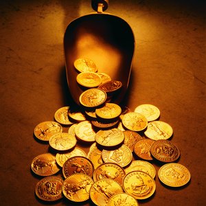 Tax Treatment on Sale of Gold Coins at a Loss