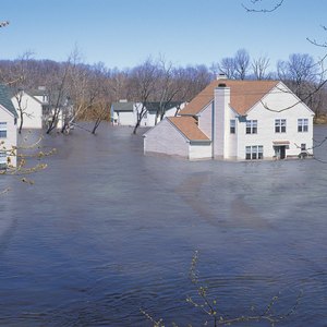 Basic Perils of Insurance