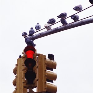 Can Not Paying a Red Light Ticket Affect My Credit Score?