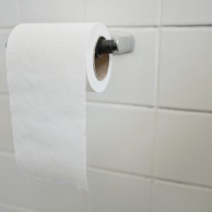 Toilet paper in washroom