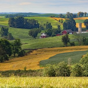 The Provisions of the Homestead Act of 1862