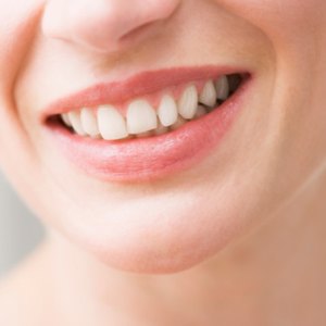 Dental Insurance: Periodontics Vs. Endodontics