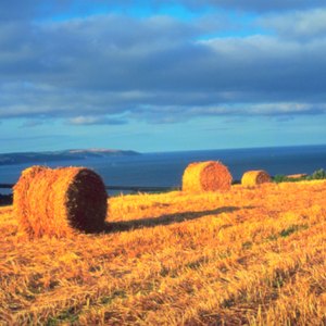 Cheap Ways to Mow Hay