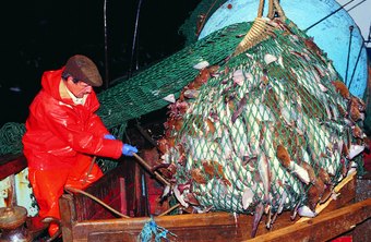 how much money could i make commercialcfishing in norway