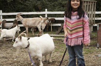 how can you make money raising goats