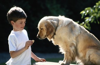 Treats Help Training Go Faster Treats Help Training Go Faster