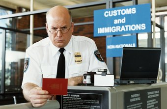 Image result for airport customs officer