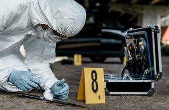 Image result for forensics investigator