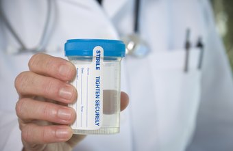 drug test urine tests employee normally