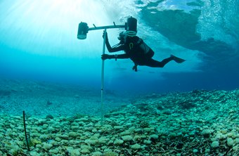 marine biologist oceanography careers list work royalty jobs related oceanographers type chron