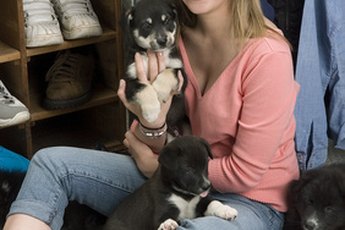 A puppy should only be allowed in the closet under supervision.