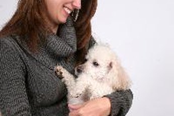 Prednisone can be used to relieve pain and swelling of injuries.