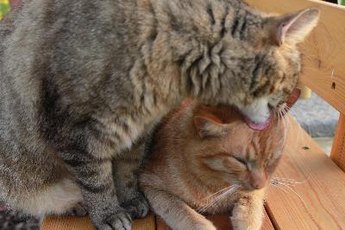 Hold still while I get that spot!