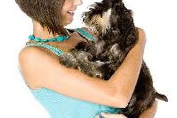 Be consistent and patient when housebreaking your puppy.