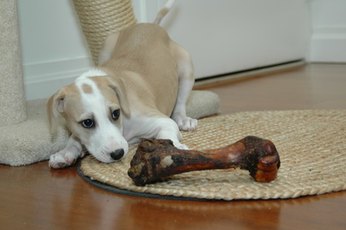 Bones, not fingers, are for chewing.