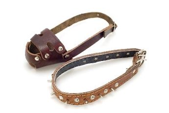 Not every muzzled dog is an aggressive dog.
