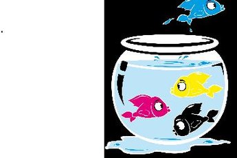 Goldfish sport a variety of colors including blue, black, yellow and red.