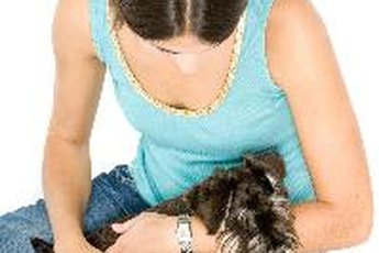 Scratching your dog can activate her scratch reflex.