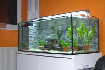 Sand is a good choice for brackish aquariums.