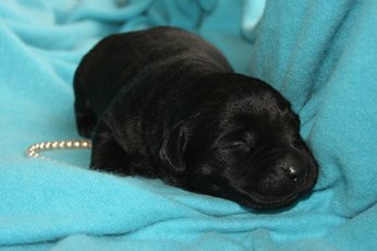 He'll grow up to be a big boy.