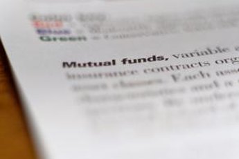A balanced fund invests in low-risk financial instruments to provide moderate growth and income.