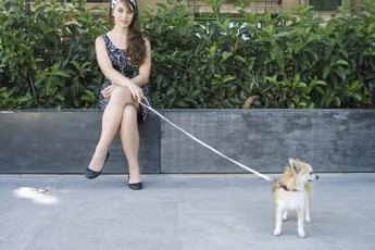 Every dog needs at least one good leash.