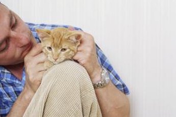 Positive early experiences make felines more loving.