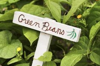Community gardens are a great way to beautify a neighborhood, engage youth and support local foods.
