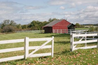 Great Pyrenees dogs are good at farm border patrol.