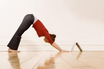 Downward-Facing Dog is a common transitional yoga pose.