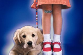 The perfect leash will help your Labrador puppy to learn to love walks.