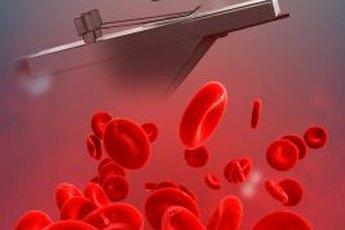 You need iron and B12 to make healthy red blood cells.
