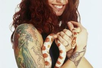 Exotic animal trainers prepare to work with all sorts of fauna and flora.