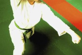 Judo encompasses throws, whereas boxing rules only allow punches.