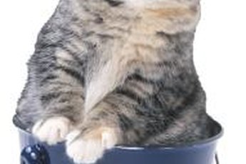"That sodium bisulfate makes my food taste better."