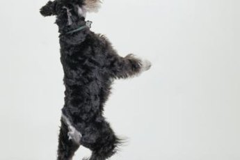 I'm so hyper, I can't sit still.